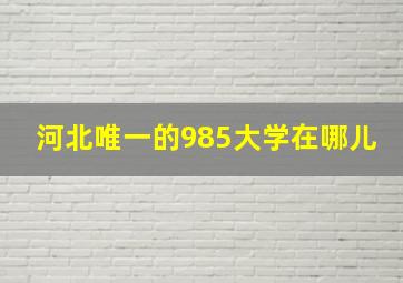 河北唯一的985大学在哪儿