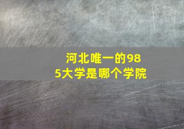 河北唯一的985大学是哪个学院