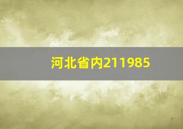 河北省内211985