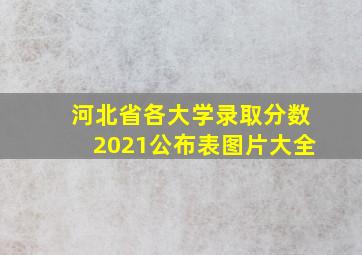 河北省各大学录取分数2021公布表图片大全