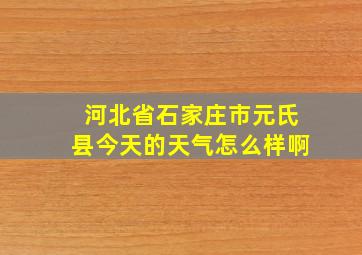 河北省石家庄市元氏县今天的天气怎么样啊