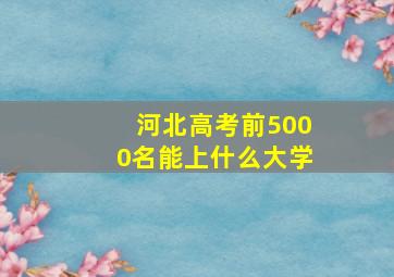 河北高考前5000名能上什么大学