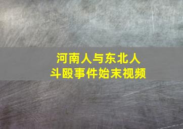 河南人与东北人斗殴事件始末视频