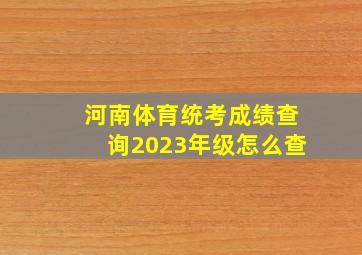 河南体育统考成绩查询2023年级怎么查