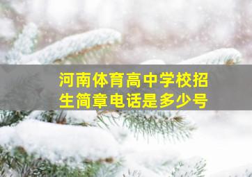 河南体育高中学校招生简章电话是多少号