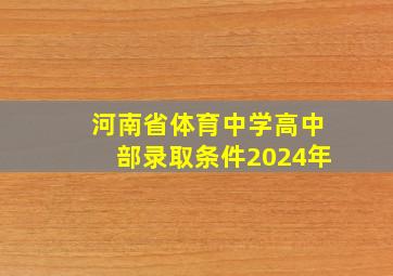 河南省体育中学高中部录取条件2024年