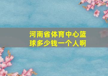 河南省体育中心篮球多少钱一个人啊