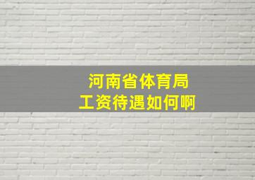 河南省体育局工资待遇如何啊