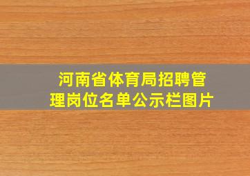 河南省体育局招聘管理岗位名单公示栏图片