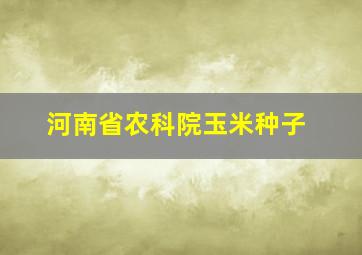 河南省农科院玉米种子