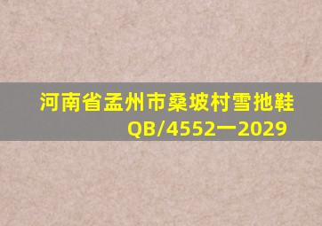 河南省孟州市桑坡村雪扡鞋QB/4552一2029