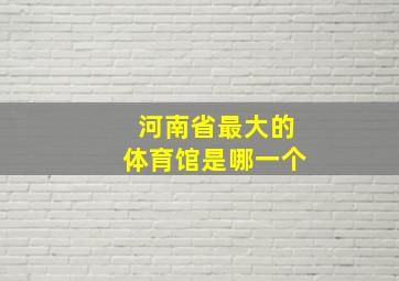 河南省最大的体育馆是哪一个