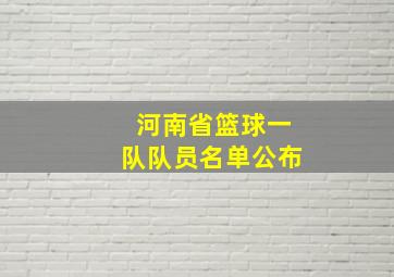 河南省篮球一队队员名单公布