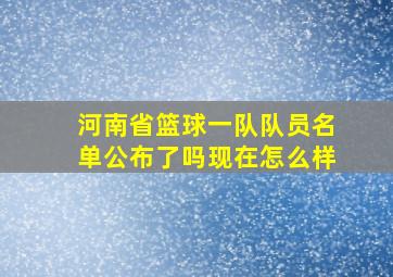 河南省篮球一队队员名单公布了吗现在怎么样