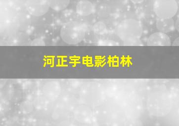 河正宇电影柏林