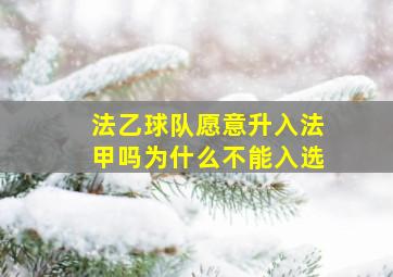 法乙球队愿意升入法甲吗为什么不能入选