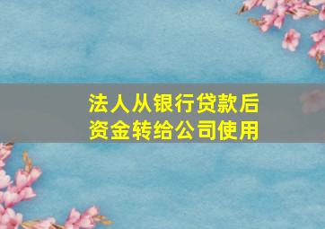 法人从银行贷款后资金转给公司使用