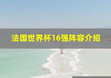 法国世界杯16强阵容介绍