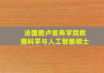 法国图卢兹商学院数据科学与人工智能硕士