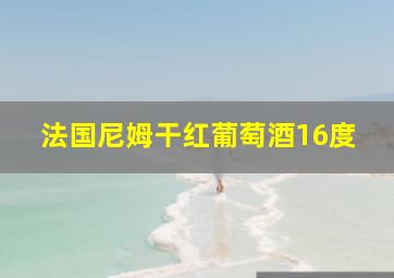 法国尼姆干红葡萄酒16度