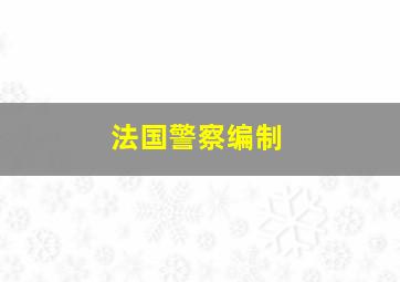 法国警察编制