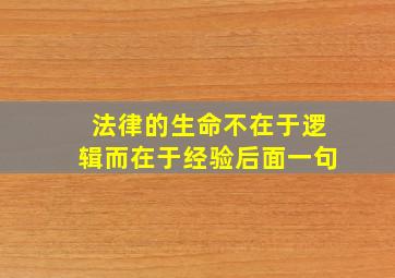 法律的生命不在于逻辑而在于经验后面一句