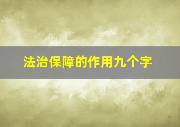 法治保障的作用九个字