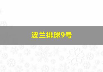 波兰排球9号