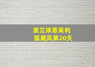 波兰球意呆利狐飓风第20天