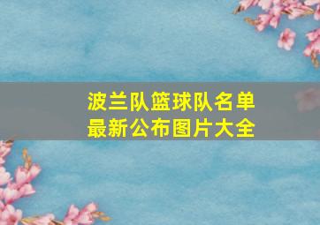 波兰队篮球队名单最新公布图片大全