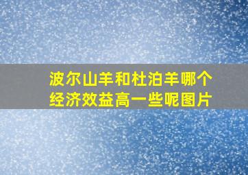 波尔山羊和杜泊羊哪个经济效益高一些呢图片