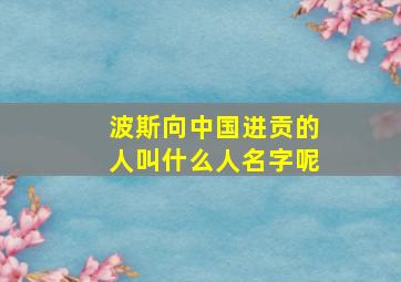 波斯向中国进贡的人叫什么人名字呢