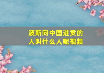 波斯向中国进贡的人叫什么人呢视频