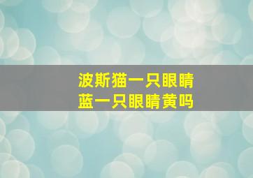 波斯猫一只眼睛蓝一只眼睛黄吗