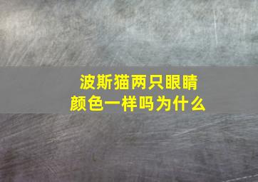 波斯猫两只眼睛颜色一样吗为什么