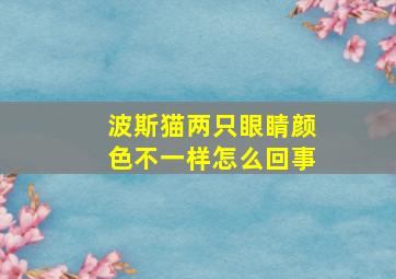 波斯猫两只眼睛颜色不一样怎么回事