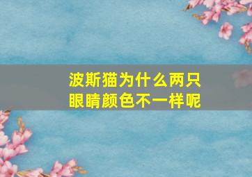 波斯猫为什么两只眼睛颜色不一样呢