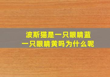 波斯猫是一只眼睛蓝一只眼睛黄吗为什么呢