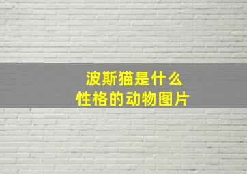 波斯猫是什么性格的动物图片