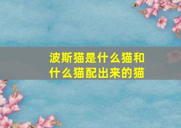 波斯猫是什么猫和什么猫配出来的猫