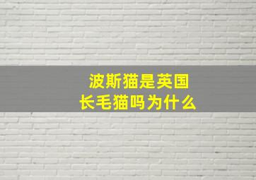 波斯猫是英国长毛猫吗为什么