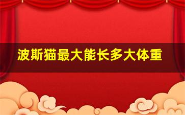 波斯猫最大能长多大体重