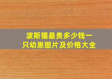 波斯猫最贵多少钱一只幼崽图片及价格大全