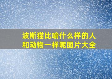 波斯猫比喻什么样的人和动物一样呢图片大全