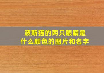 波斯猫的两只眼睛是什么颜色的图片和名字