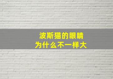 波斯猫的眼睛为什么不一样大