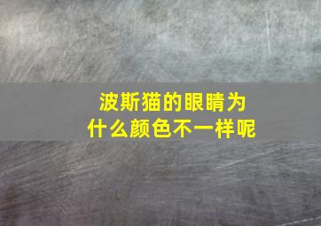 波斯猫的眼睛为什么颜色不一样呢