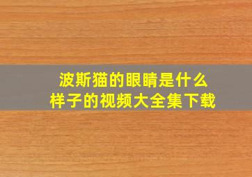 波斯猫的眼睛是什么样子的视频大全集下载