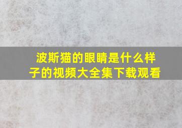 波斯猫的眼睛是什么样子的视频大全集下载观看