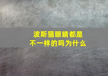 波斯猫眼睛都是不一样的吗为什么